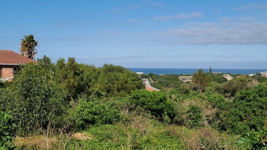 0 Bedroom Property for Sale in Forest Downs Eastern Cape